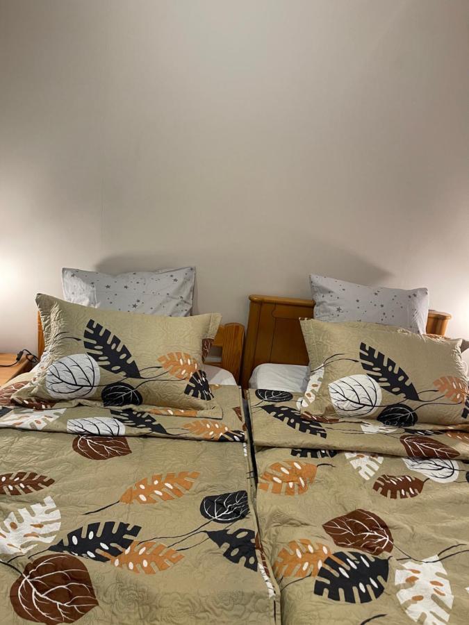 Appartement 3 Pieces Pour 1 A 5 Voyageurs Rillieux-la-Pape 외부 사진